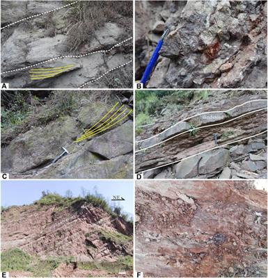 Mid-cretaceous rapid denudation of Eastern Tibetan plateau: Insights from detrital records at the Southwestern corner of Sichuan basin